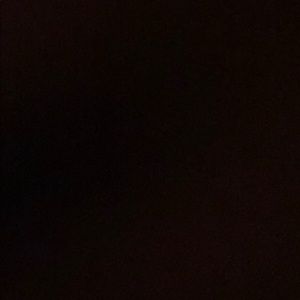 Meet your Posher, Lilly